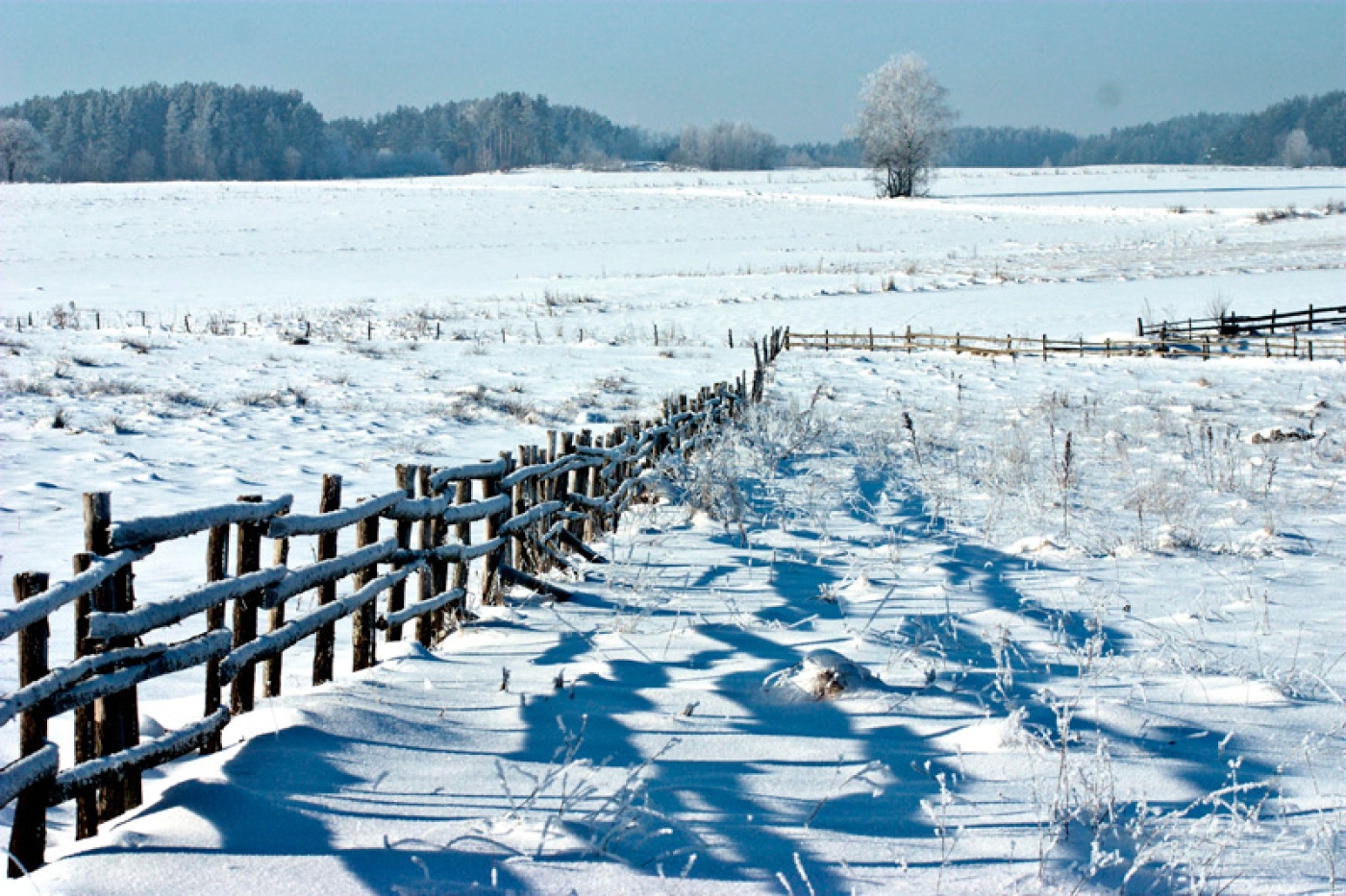 Январь – году начало, а зиме – середина. О чем рассказывает народный календарь