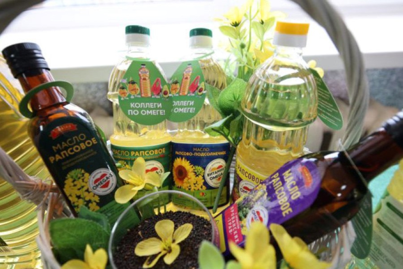 Ученый: рапсовое масло входит в тройку лучших растительных масел для питания человека