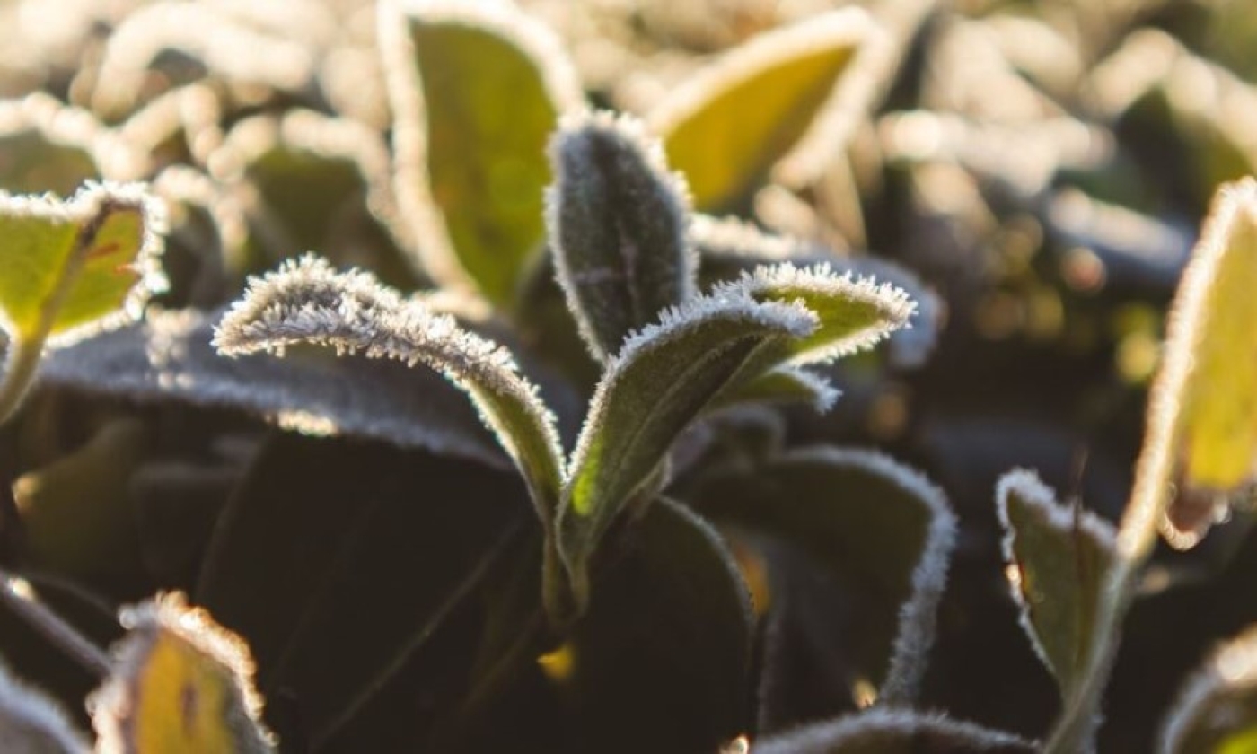 Погода 6 мая: ночные заморозки, местами кратковременные дожди и до +16 °С днем