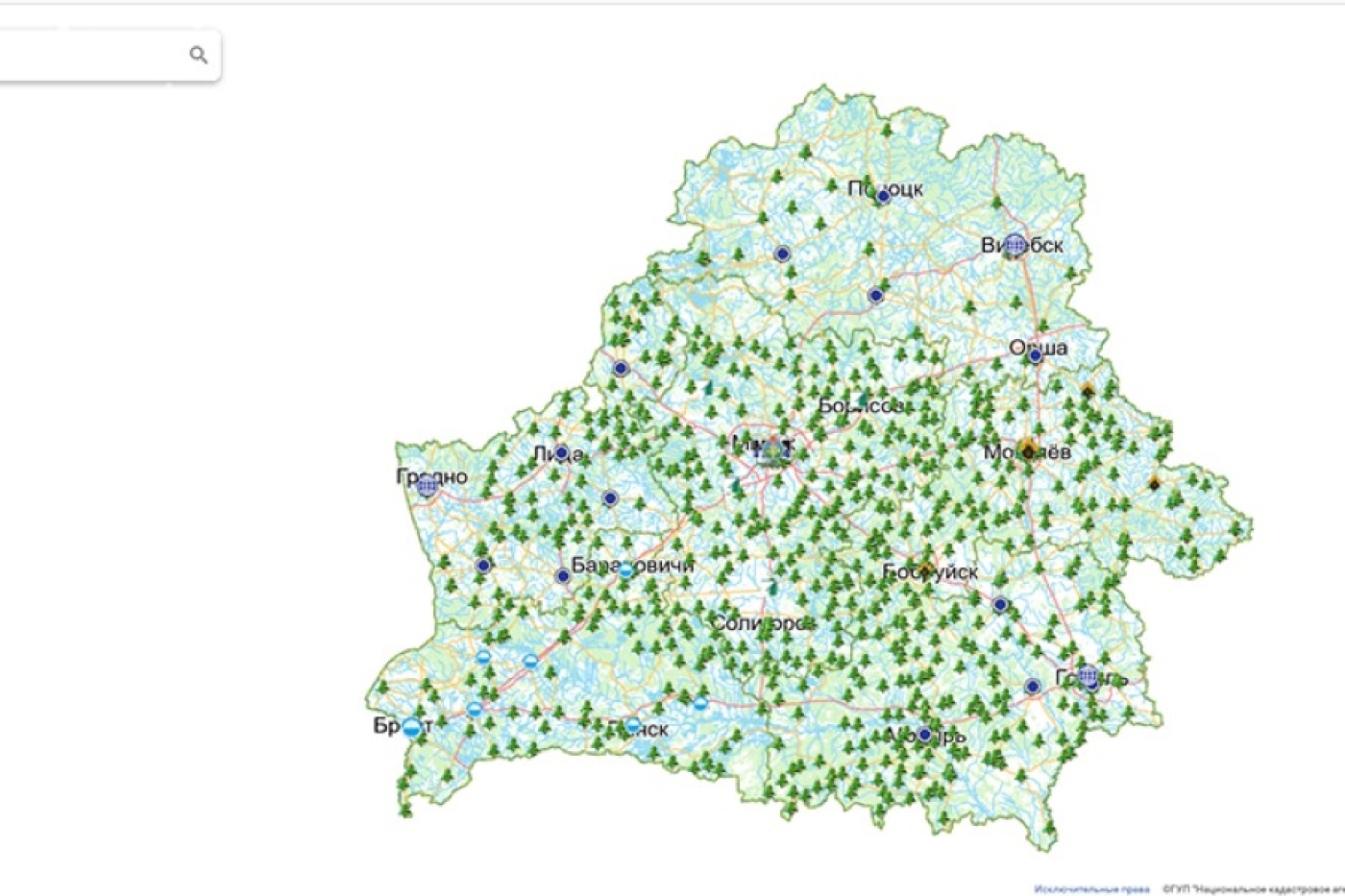 Елочные базары появились на публичной кадастровой карте Беларуси