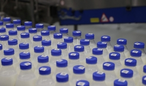 На одного белоруса в год производится почти тонна молока