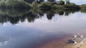 Работники ОСВОДа спасли тонувшую в Березине женщину