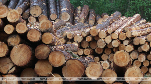В Минлесхозе пояснили алгоритм реализации древесины в заготовленном виде вне торгов