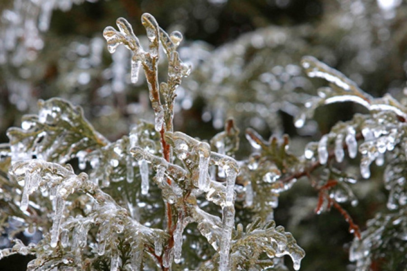 Спасатели предупредили о факторах опасности при гололеде