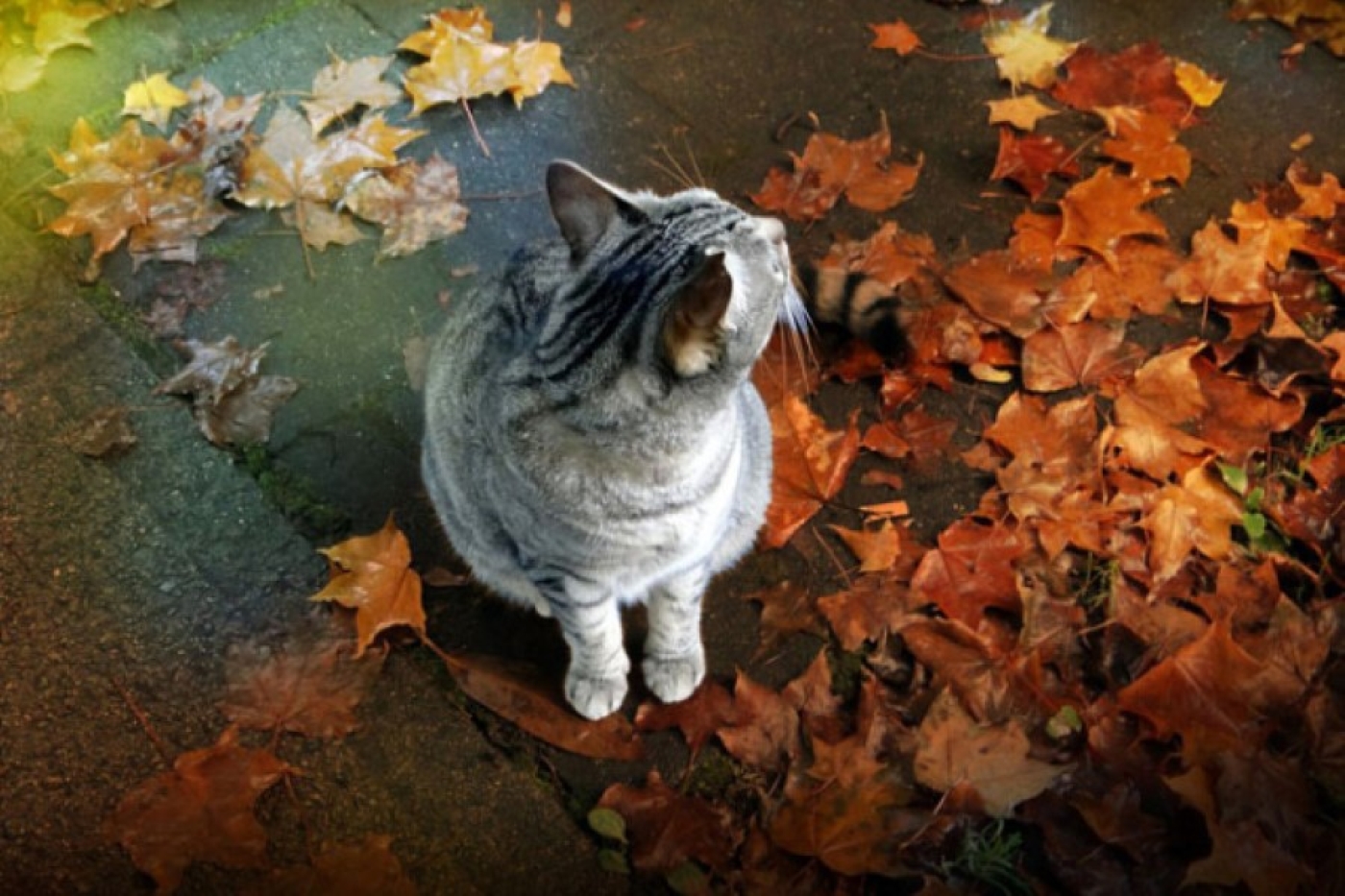 Узнали, какой будет погода в областных центрах Беларуси ночью и днем 4 декабря
