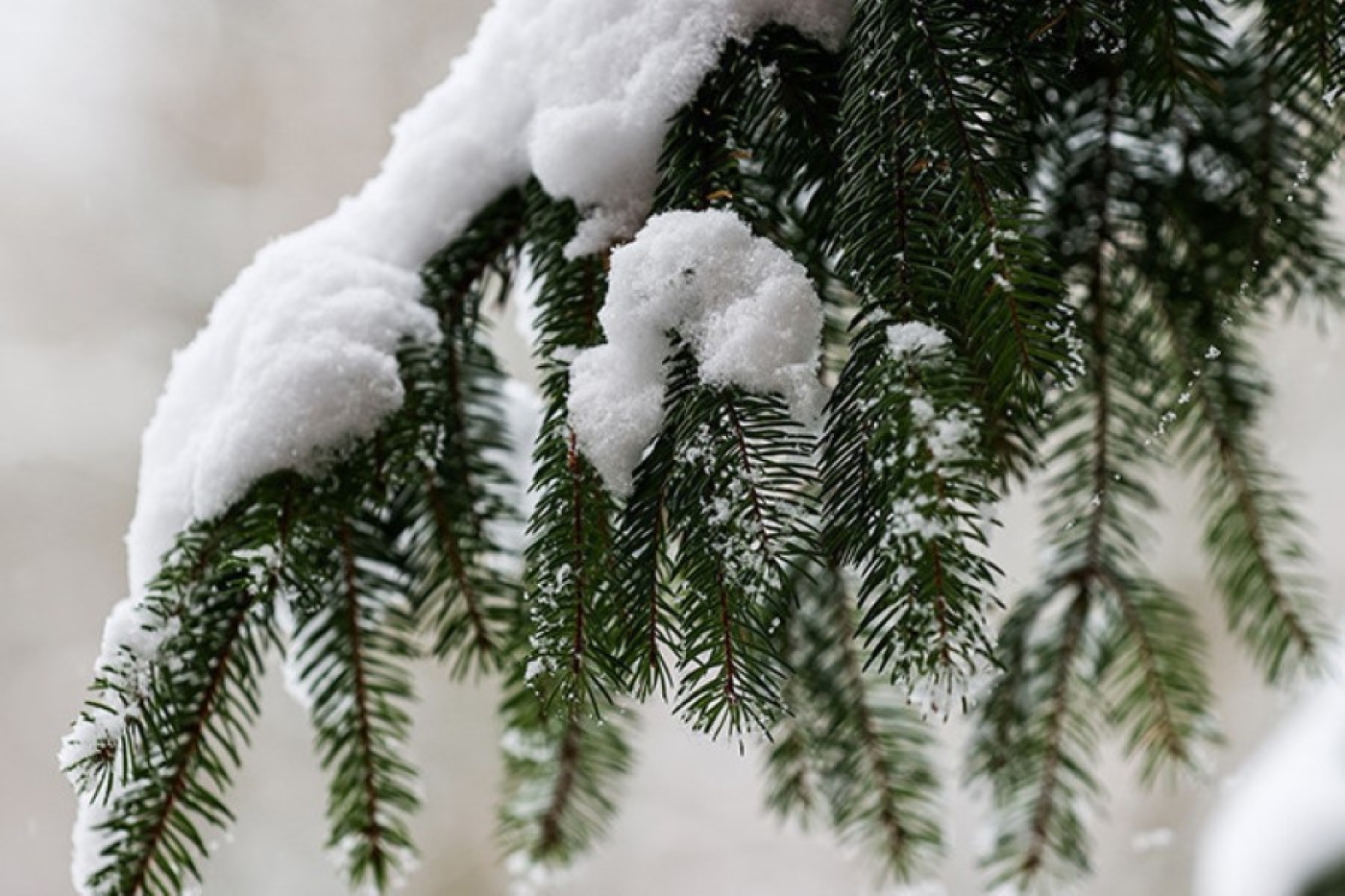 От -20 до +5. Кардинально изменится погода в Беларуси на этой неделе