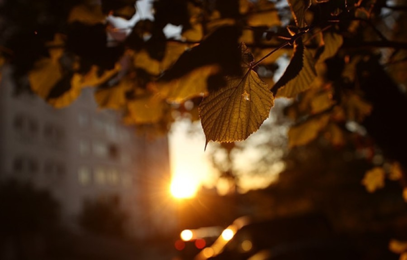 Дождливо и облачно. Какой будет погода в Беларуси сегодня