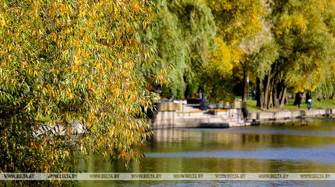 Ночные заморозки и до +16°С днем ожидается в Беларуси 11 октября