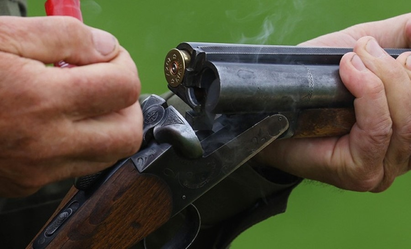 Случаи браконьерства выявили в Дзержинском районе и под Гомелем