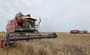 Белорусские аграрии намолотили 7 млн тонн зерна