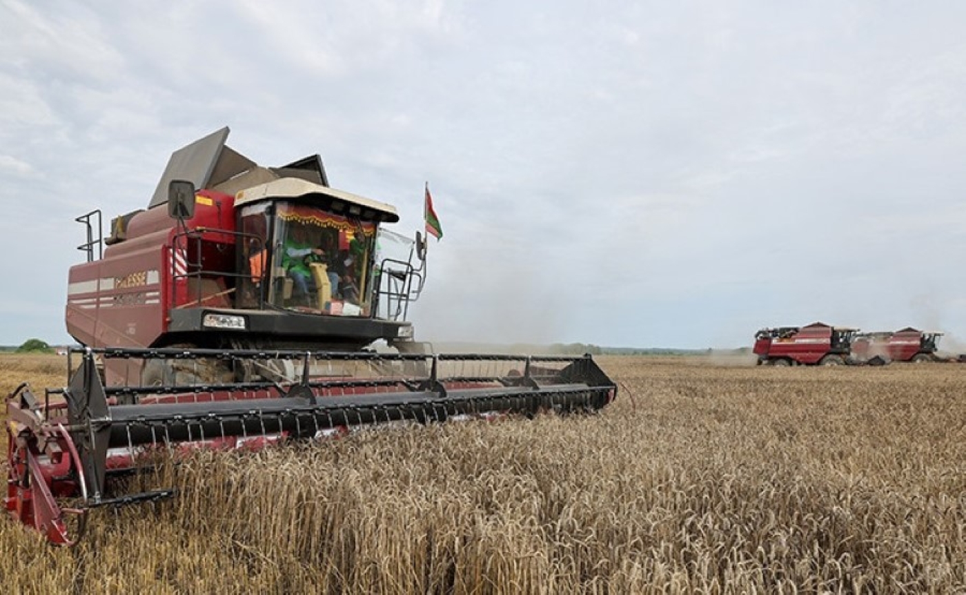 Белорусские аграрии намолотили 7 млн тонн зерна